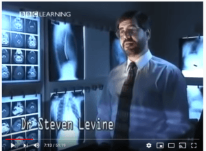 Dr. Steven Levine