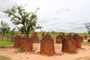 Wassu Stone Circle