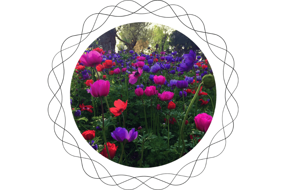 Floral Circle Image