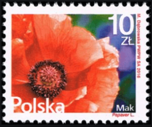 Poppy Stamp